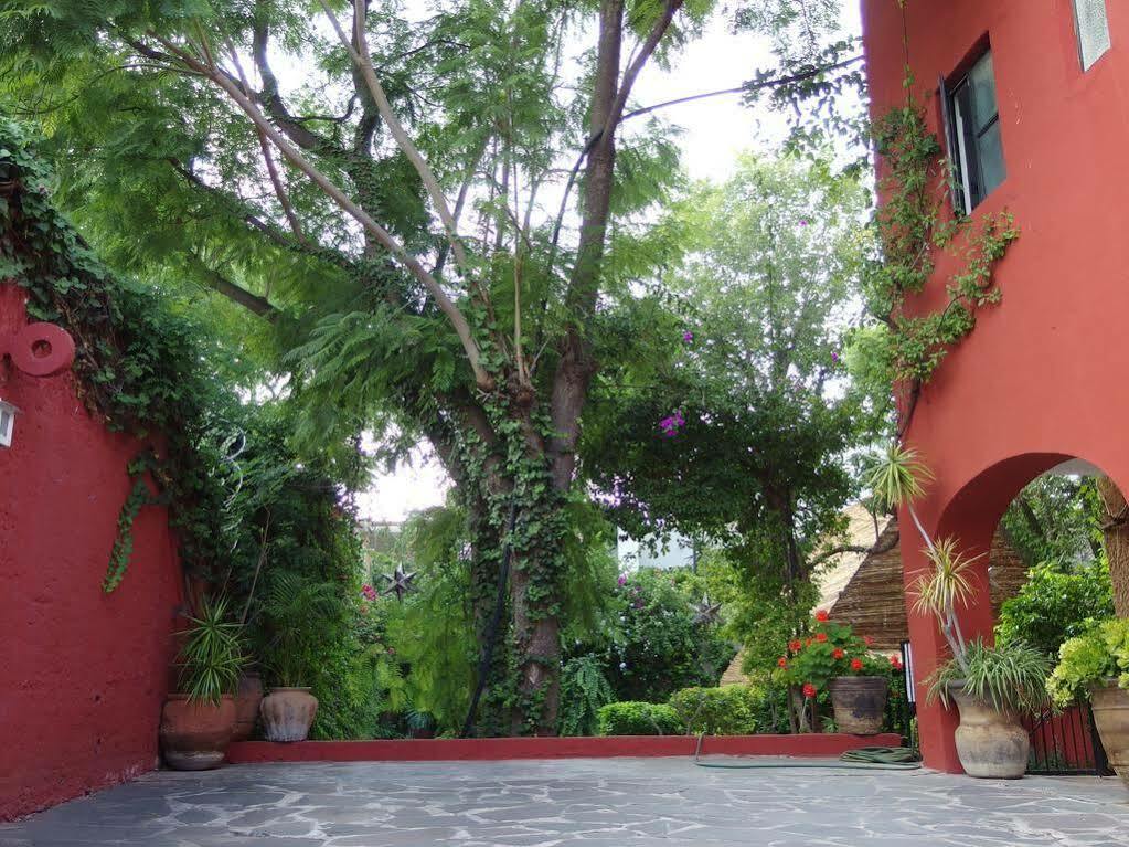 Casa De Las Conservas Comfort Альенде Экстерьер фото
